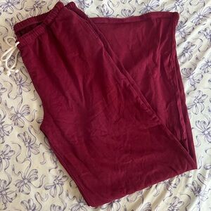 Wild Fable Burgundy Pants
